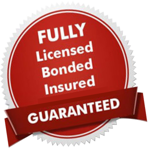 Licensed Gate Repair Technician